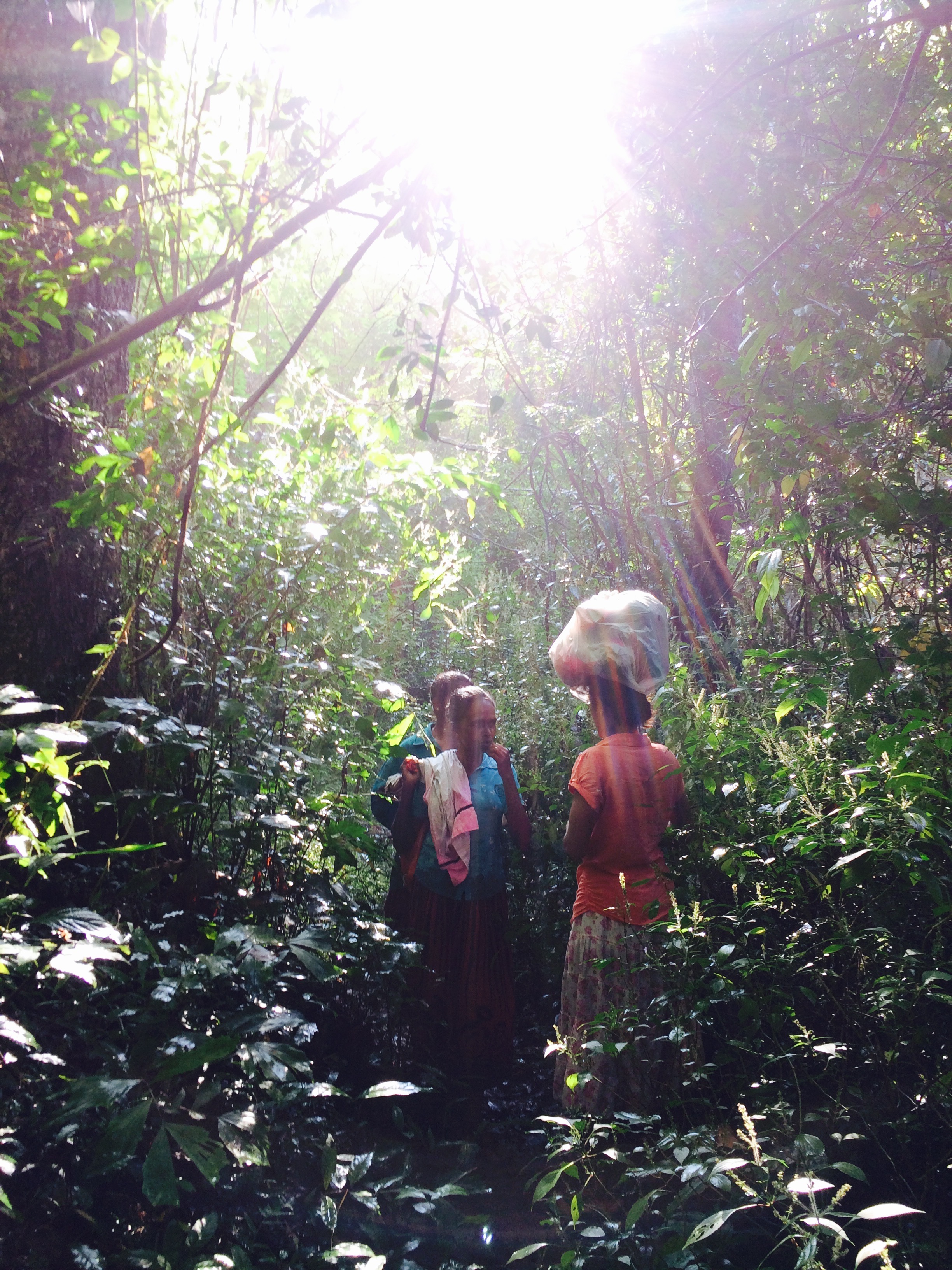 Three people standing in a lush forest clearing, backlit by bright sunlight filtering through the trees. One person is carrying a bundle on their head.